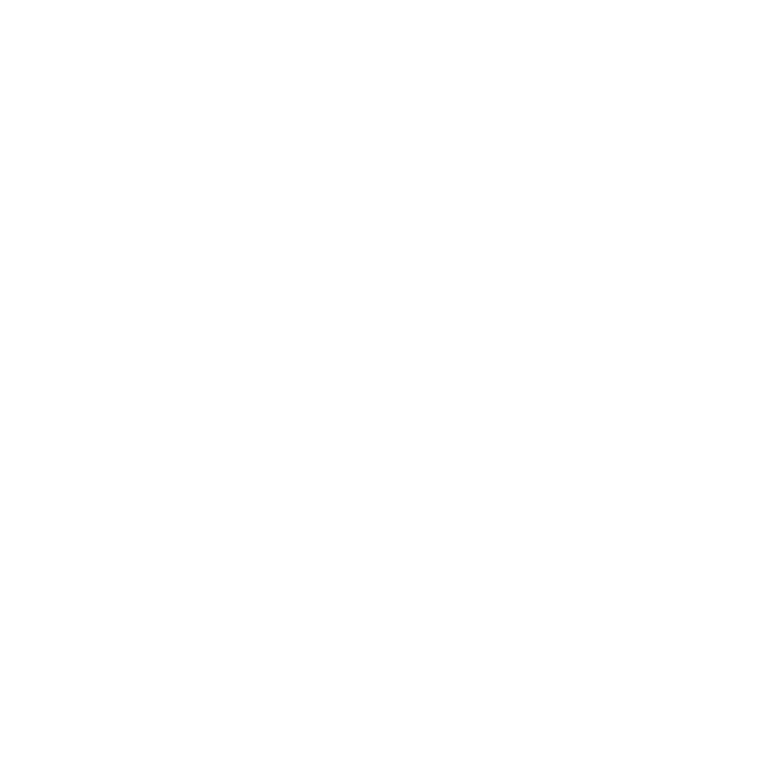 SB logo wit