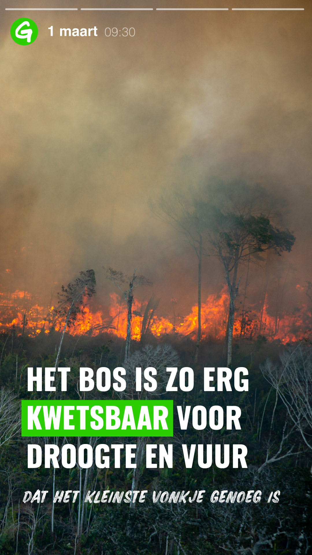 Story-templates-groen-3
